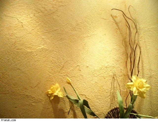 Обои под покраску или штукатурка. Что выбрать?